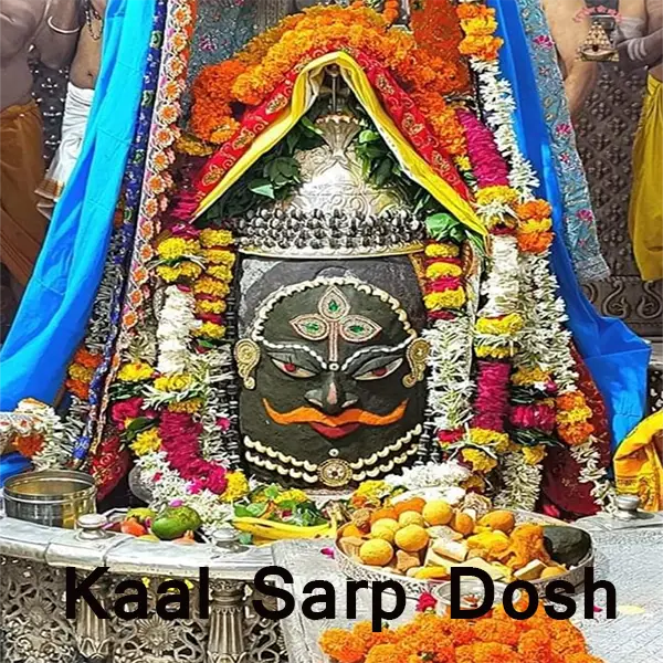 Kaal Sarp Yog